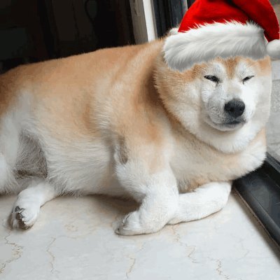 Mr_Chonky's profile picture. Forbes 10 under 10