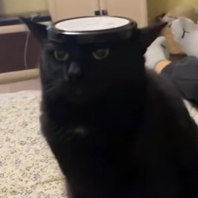 chenng1023's profile picture. 我是直男 請不要叫我督你 嚴厲斥責💩🫵🏻    動漫咖 kpop豚 肥宅 apex lol