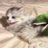nepia_a's profile image