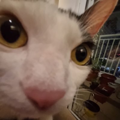 ixtefinha's profile picture. nas horas vagas eu vejo o futuro dos outros