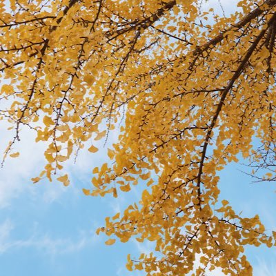 Marnee1510882's profile picture. 