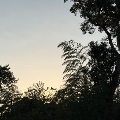 aokiutsu_ra's profile picture. 07♂ 超低浮上 リアル、顔❌