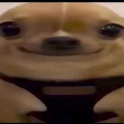 stbunny_s's profile picture. 🔞 / Mid Art 🏳️‍🌈 / 19 / 🇲🇽

Main : @chani_chantiyii
 b : @infopufflensfw