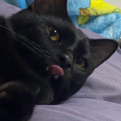 bbwinndyy's profile picture. ᴘᴄʏ♥ | ♡︎ᴄʜᴀɴʙᴀᴇᴋ♡︎| ᴇxᴏ 9 シ ᴇxᴏ & ᴇxᴏ-ʟ | | sᴀᴛᴜʀᴅᴀʏss🪐