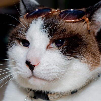 sk8trb0yy's profile picture. helllloooooo

he