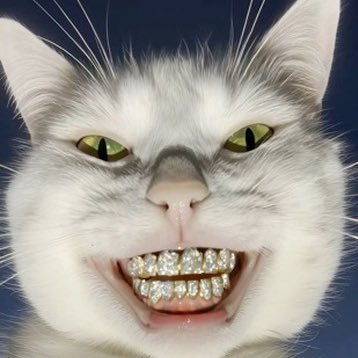 abcdefghiampnut's profile picture. 