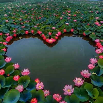 nhan27527's profile picture. 