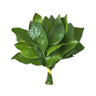 WBSWFWM's profile picture. The harder you work, the luckier you are

@alliance project deep participants and game participants