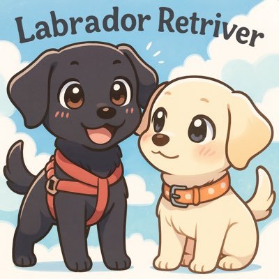 mogutrade's profile picture. おじさん初心者🔰bottter