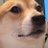 AntiEntropi's profile image