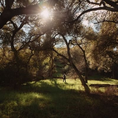 alryder2233's profile picture. ²² ³³ always!!