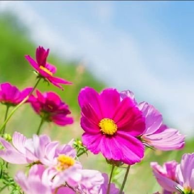 VeroniqueN74894's profile picture. 