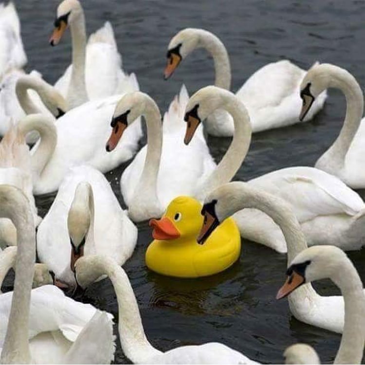 NorErin11's profile picture. So take your records, take your freedom