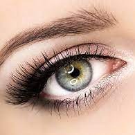 Caps34533016187's profile picture. 🔴 The NFT project that gives 40% earns back to holders
Awards:
🏆  #NFTNYC2025/24/23 🏆 Optimism 🏆 Miricanvas 🏆 Playbook