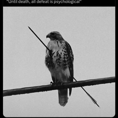 IsiakBolaji's profile picture. na man make man brutal