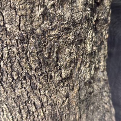 rejiuof23's profile picture. 