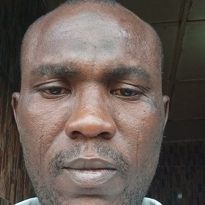 ibitola130906's profile picture. 