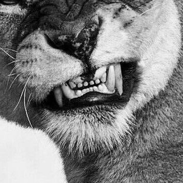 afri3_'s profile picture. zZz