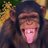 lambano41's profile image