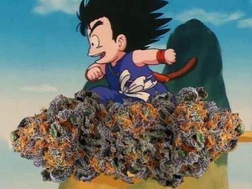 brinkhuis_jimmy's profile picture. keep experience