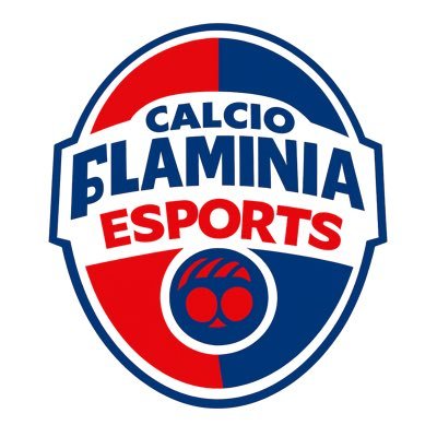 @FlaminiaEsports