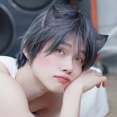 ngrtaejjun's profile picture. ✨ㅡi love cats (yoongi, yeonjun, taehyun). rps. mdni. archive⤵️