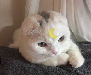 iWishTheMovie's profile picture. I bet we walked a thousand miles