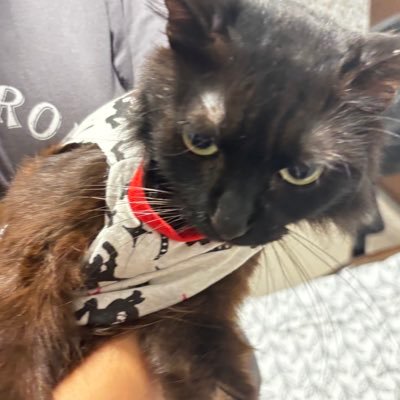 GhriamAngel18's profile picture. L'unica cosa impossible è quella chhe non provi a fare. 3/5 ❤️💚