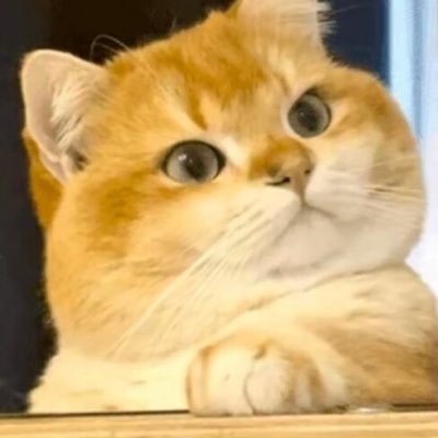 kuaile6888's profile picture. 很少有人说你要快乐