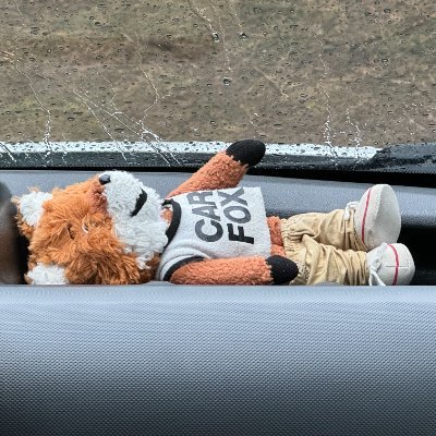 LisalexUnder's profile picture. NO GODS OR KINGS. ONLY ЗСУ.