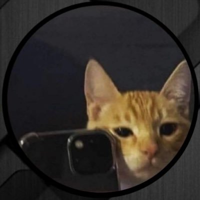 incognicktooo's profile picture. 