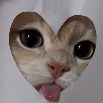 cutesynunew's profile picture. ੈ✩‧🍓🍰𝑆𝑡𝑟𝑎𝑤𝑏𝑒𝑟𝑟𝑦 𝑝𝑟𝑖𝑛𝑐𝑒𝑠𝑠 @CwrNew ༊*·˚