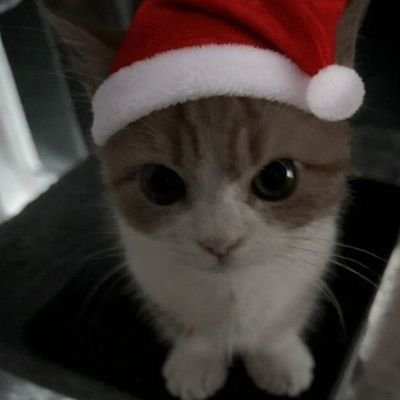 rmlvrr's profile picture. 