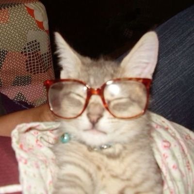 orlayanna41882's profile picture. Hello ! 🪼