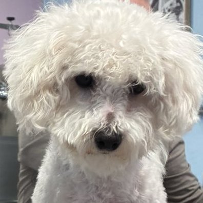 SaveDignity's profile picture. «Κοιτάζω τη Γη και είναι τόσο όμορφη» 
Γ.Γκαγκάριν 12/04/1961