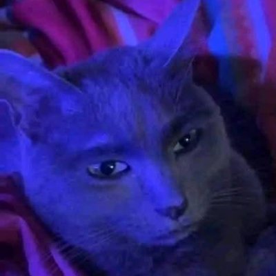 IchCakes's profile picture. 