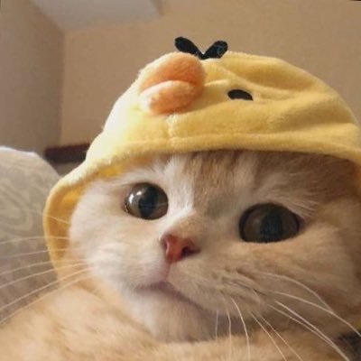 tyesaithongsuk's profile picture. LUV POW 🩵🧡💚💜💙