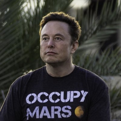 elonmuskgrok_X's profile picture. 