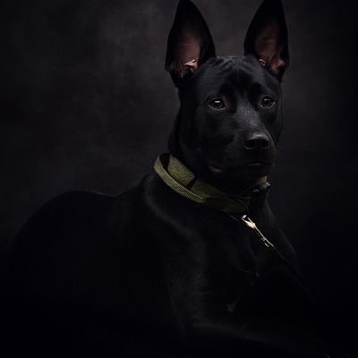 MClingan45734's profile picture. 