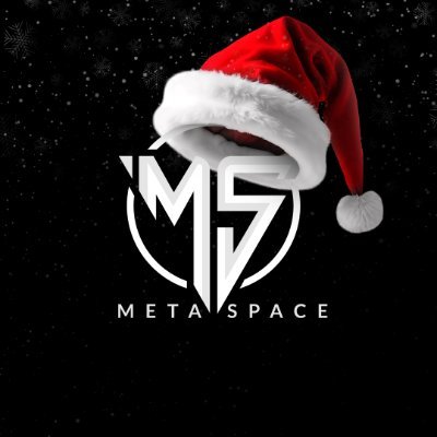 metaspace_verse's profile picture. First ever Web3 RPG mobile game with intense space survival missions and PvP arenas. 

📲 Beta is Live on Android and iOS devices.