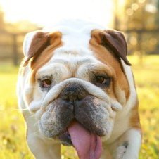 whenwillitendd0's profile picture. 