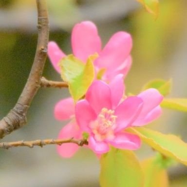 karin_en_sn's profile picture. &𝕋𝔼𝔸𝕄🐣🐱⌇𝔼ℕｰ 🦊🍑⌇RMPG 🐷🐸⌇𝕊𝕍𝕋 🐰⋆🍊⌇🥝𝕊𝕀𝕎𝕆𝕆
⋆⋆⋆