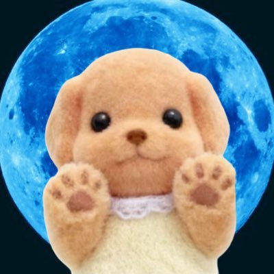 byulikeu's profile picture. ⋆౨ৎ˚ 재윤이의 꿀파이 “팀 #윌리엄스 ㄱㄱ🏎️💨!” @withluvleo ⊹ weverse replies 💬:🐱4x 🦊1x 🐈‍⬛1x