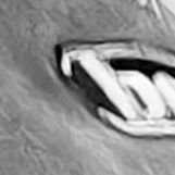 200_gumjung_0's profile picture. 2027.03.08 시작