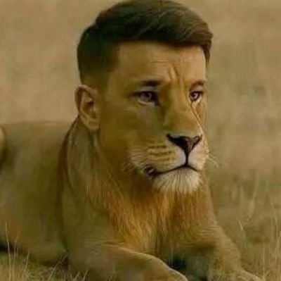 Eliyahu1948's profile picture. ✡ | 🇧🇷🇮🇹🇵🇹 | Zi✡nist 🇮🇱🎗️| 🥋 BJJ | Greco-Indiano 🇬🇷🇮🇳 | @flamengo | Worldbuilding 🏛️🌏🔨🎨📕🛸 | Graphic Design, Linguistics and Gaming.