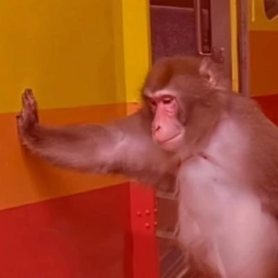 UdeshnaDutta1's profile picture. I notice more than I express