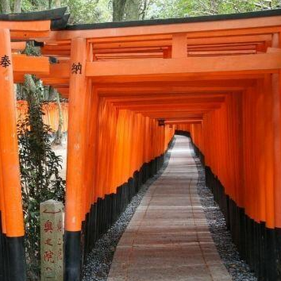 daigotemple's profile picture. I am local tour guide for Kyoto.
Let me know when you visit Daigo and Fushi area. I will show you real Japan.