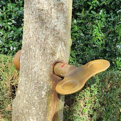 mendesalai64421's profile picture. 