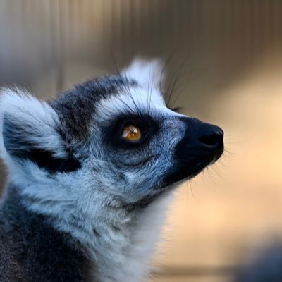 tg25wga's profile picture. 名前の通りであります。旅行系について嘆いています。/が、経済や地政学、産業など話したいことが山のようにあり時々発散します