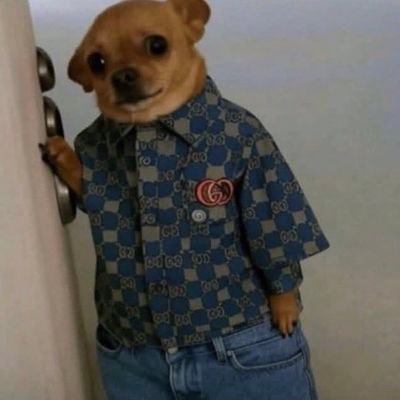 CoinSisu11100's profile picture. BIGJOSH 𓃵 
📊 Finance | 📈 Markets | 💰
I move numbers and narratives. 🔥
🤝🚨 Serious collabs only — DM open.
🧱🚀 If you build value, let’s build together ❤️